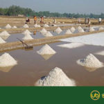 উদ্যোক্তা বার্তা