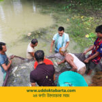 উদ্যোক্তা বার্তা