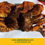 উদ্যোক্তা বার্তা