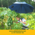 উদ্যোক্তা বার্তা