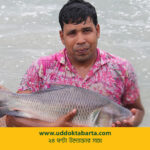 উদ্যোক্তা বার্তা