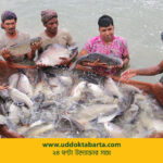 উদ্যোক্তা বার্তা