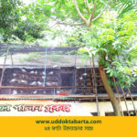 উদ্যোক্তা বার্তা
