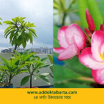 উদ্যোক্তা বার্তা