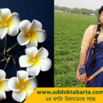উদ্যোক্তা বার্তা