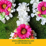 উদ্যোক্তা বার্তা