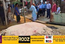 চামড়া পাচার হওয়ার সুযোগ নেই