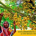 uddokta barta